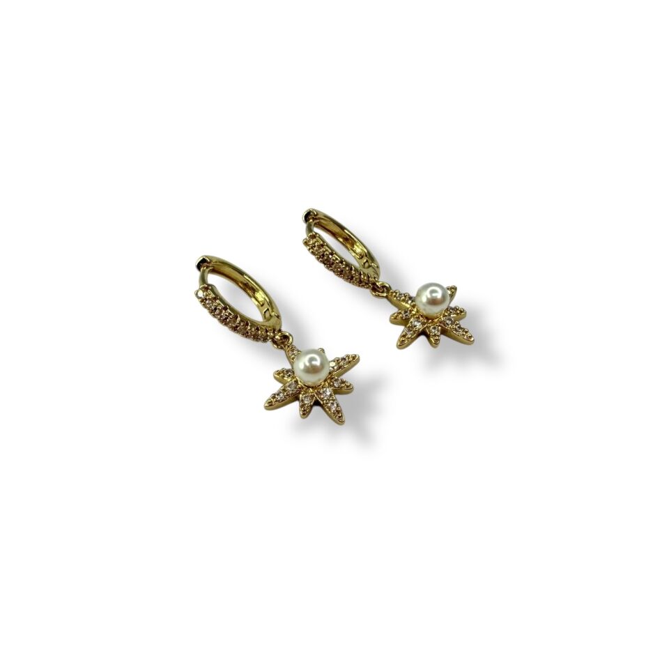 Kutup Yıldızı İncili Küpe | North Star Celestial Tasarım (Yol Gösterici Sembol)(gold)